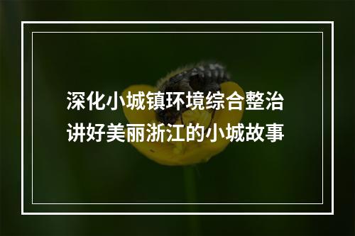 深化小城镇环境综合整治 讲好美丽浙江的小城故事