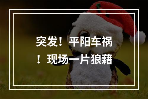 突发！平阳车祸！现场一片狼藉
