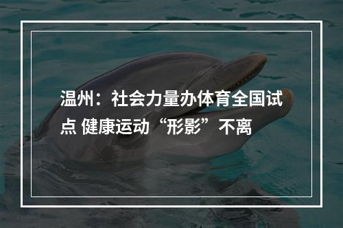 温州：社会力量办体育全国试点 健康运动“形影”不离