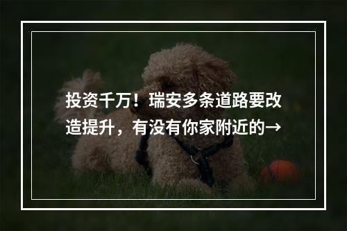 投资千万！瑞安多条道路要改造提升，有没有你家附近的→