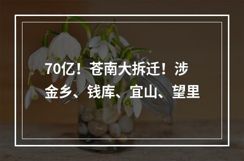 70亿！苍南大拆迁！涉金乡、钱库、宜山、望里