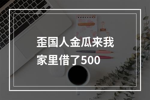 歪国人金瓜来我家里借了500