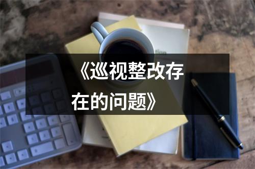 《巡视整改存在的问题》