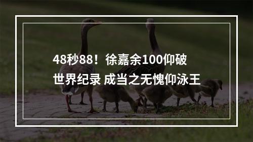 48秒88！徐嘉余100仰破世界纪录 成当之无愧仰泳王