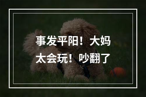 事发平阳！大妈太会玩！吵翻了