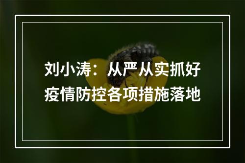 刘小涛：从严从实抓好疫情防控各项措施落地