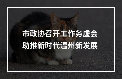 市政协召开工作务虚会 助推新时代温州新发展