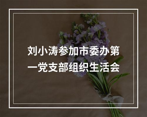 刘小涛参加市委办第一党支部组织生活会