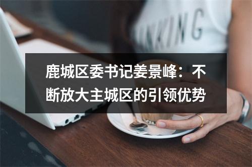 鹿城区委书记姜景峰：不断放大主城区的引领优势