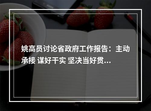 姚高员讨论省政府工作报告：主动承接 谋好干实 坚决当好贯彻落实报告的排头兵