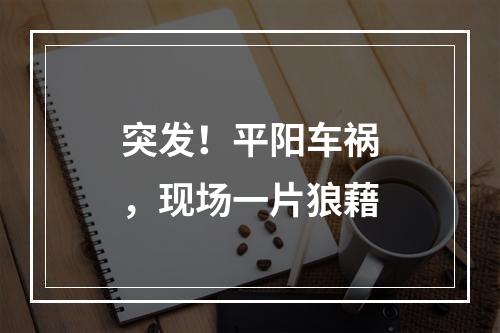 突发！平阳车祸，现场一片狼藉
