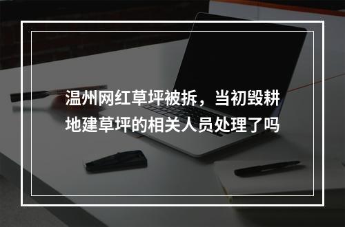 温州网红草坪被拆，当初毁耕地建草坪的相关人员处理了吗