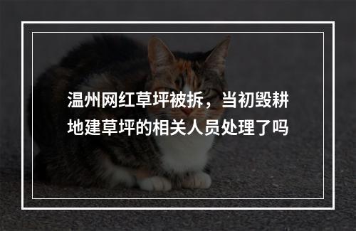 温州网红草坪被拆，当初毁耕地建草坪的相关人员处理了吗