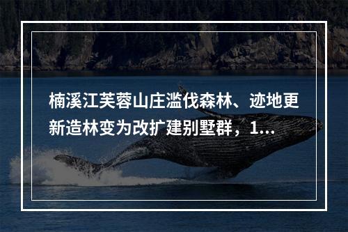 楠溪江芙蓉山庄滥伐森林、迹地更新造林变为改扩建别墅群，1200村民联名反对