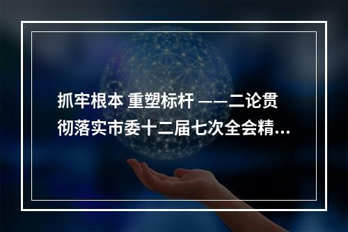 抓牢根本 重塑标杆 ——二论贯彻落实市委十二届七次全会精神