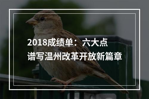 2018成绩单：六大点谱写温州改革开放新篇章