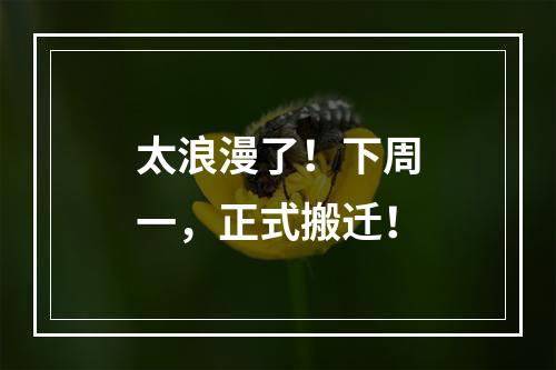 太浪漫了！下周一，正式搬迁！