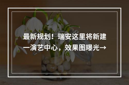 最新规划！瑞安这里将新建一演艺中心，效果图曝光→