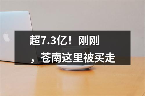 超7.3亿！刚刚，苍南这里被买走