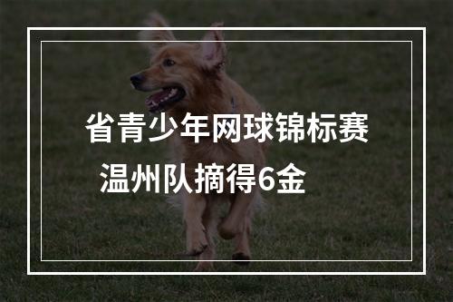 省青少年网球锦标赛  温州队摘得6金