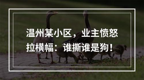 温州某小区，业主愤怒拉横幅：谁撕谁是狗！