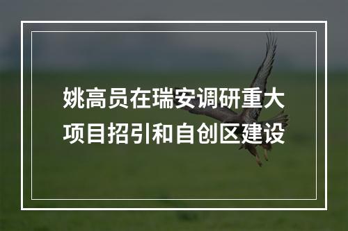 姚高员在瑞安调研重大项目招引和自创区建设