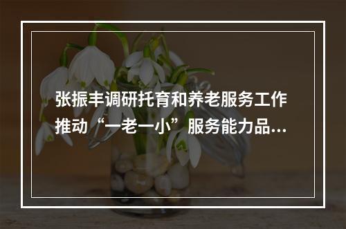 张振丰调研托育和养老服务工作 推动“一老一小”服务能力品质双提升