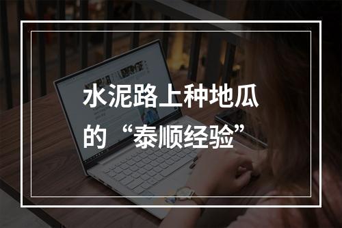 水泥路上种地瓜的“泰顺经验”