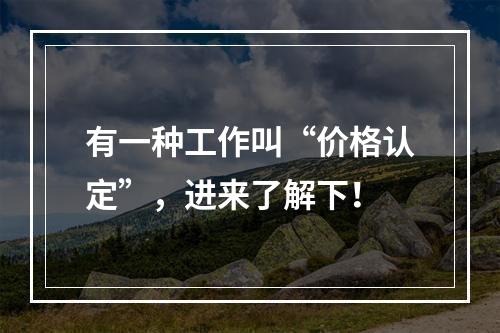 有一种工作叫“价格认定”，进来了解下！