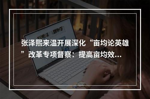 张泽熙来温开展深化“亩均论英雄”改革专项督察：提高亩均效益 推进转型升级