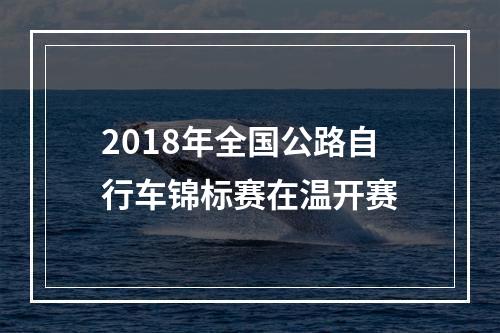 2018年全国公路自行车锦标赛在温开赛