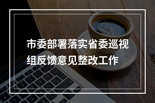 市委部署落实省委巡视组反馈意见整改工作
