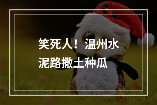 笑死人！温州水泥路撒土种瓜