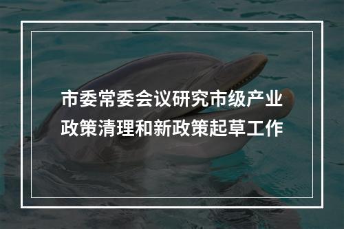 市委常委会议研究市级产业政策清理和新政策起草工作