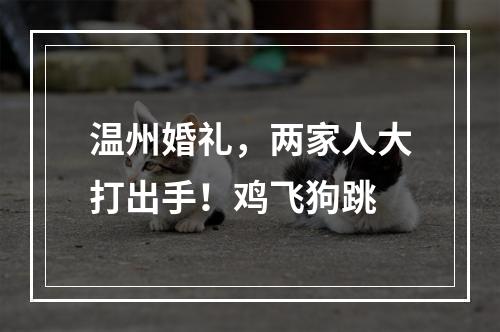温州婚礼，两家人大打出手！鸡飞狗跳