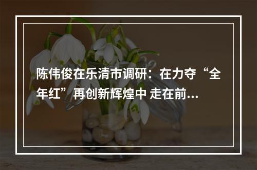 陈伟俊在乐清市调研：在力夺“全年红”再创新辉煌中 走在前列 作出示范