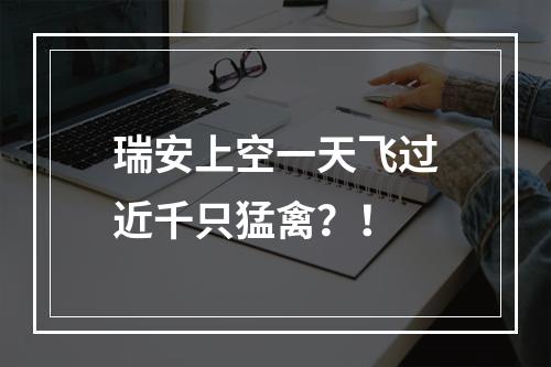 瑞安上空一天飞过近千只猛禽？！