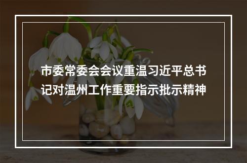 市委常委会会议重温习近平总书记对温州工作重要指示批示精神