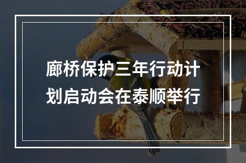 廊桥保护三年行动计划启动会在泰顺举行