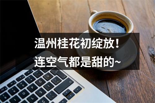 温州桂花初绽放！连空气都是甜的~