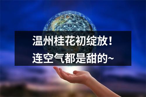 温州桂花初绽放！连空气都是甜的~