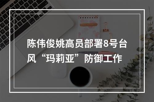 陈伟俊姚高员部署8号台风“玛莉亚”防御工作
