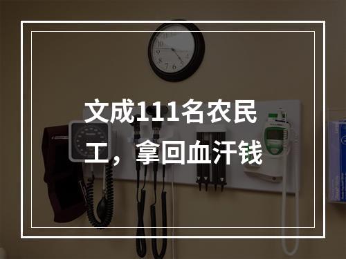 文成111名农民工，拿回血汗钱