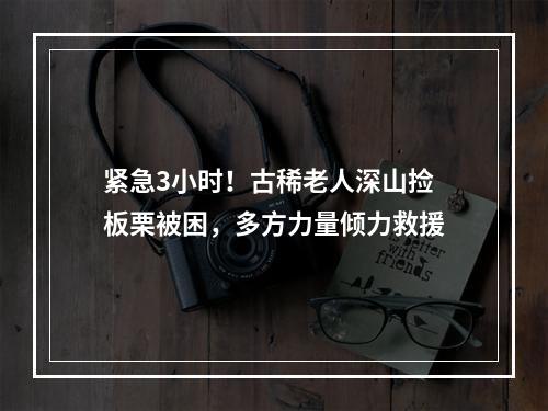 紧急3小时！古稀老人深山捡板栗被困，多方力量倾力救援