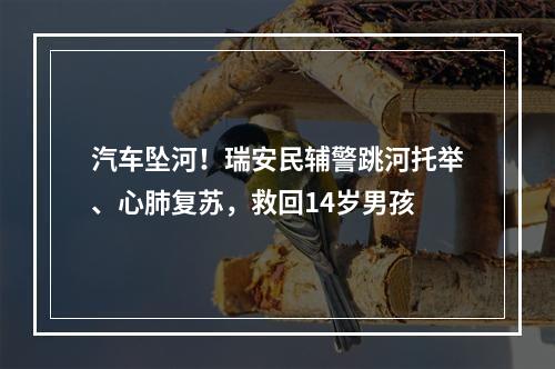 汽车坠河！瑞安民辅警跳河托举、心肺复苏，救回14岁男孩