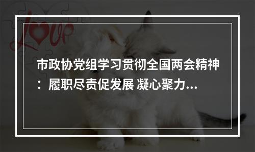 市政协党组学习贯彻全国两会精神：履职尽责促发展 凝心聚力谱新篇