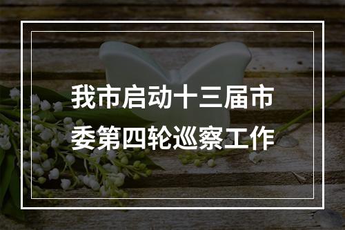 我市启动十三届市委第四轮巡察工作