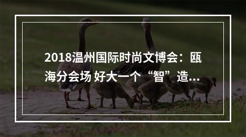 2018温州国际时尚文博会：瓯海分会场 好大一个“智”造时尚生活馆