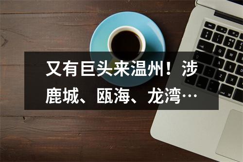 又有巨头来温州！涉鹿城、瓯海、龙湾…