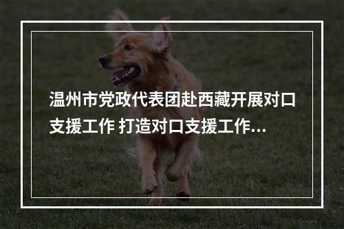 温州市党政代表团赴西藏开展对口支援工作 打造对口支援工作2.0版
